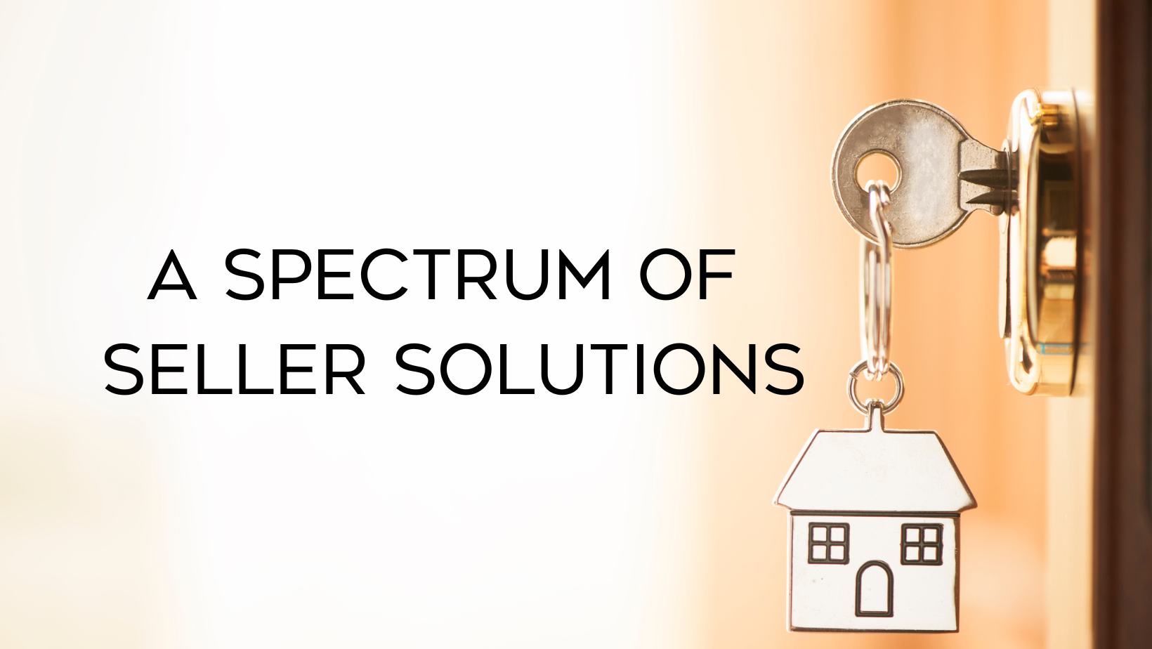 A spectrum of seller solutions