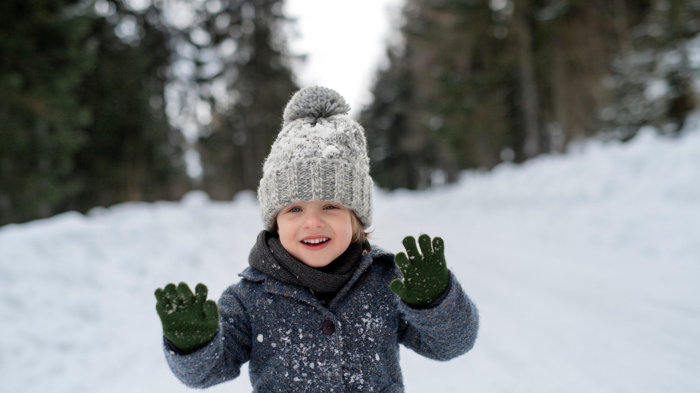 Discover great things to do in Fairfax County this January from First Day hikes and restaurant weeks to winter light displays, skating, and cozy indoor fun.